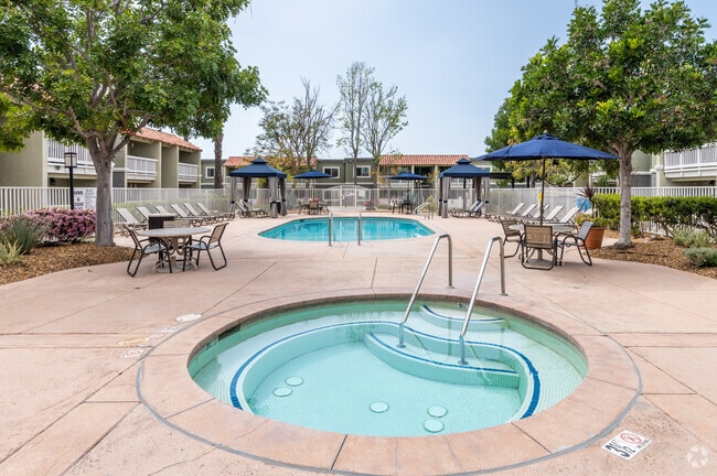 Pool and Spa