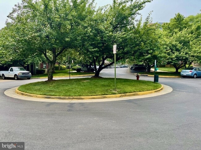 Photo - 11703 Olde English Dr