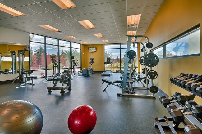 Photo - Cactus Forty-2