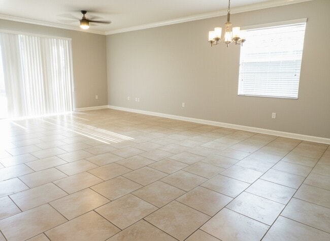 Photo - Shuchen Peng