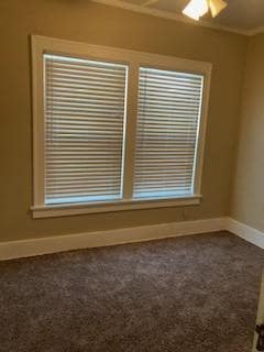 Photo - Cardinal Apartments