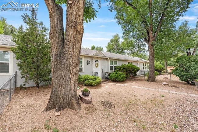 Photo - 317 W Harrison St Unit 317