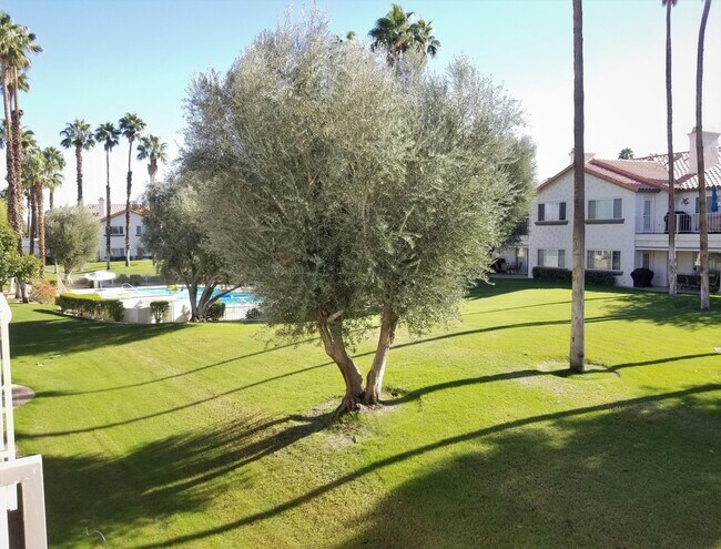 319 Vista Royale Dr