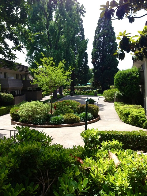 Community Courtyard View