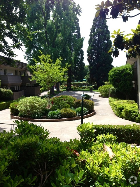 Community Courtyard View - Hacienda Apartments