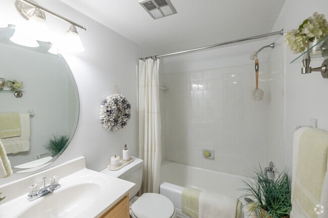 2BR, 1BA - 950SF - Bathroom