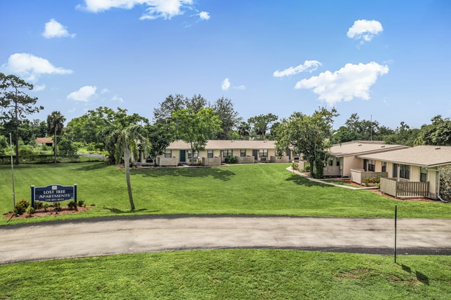 2-web-or-mls-DJI_0304.jpg