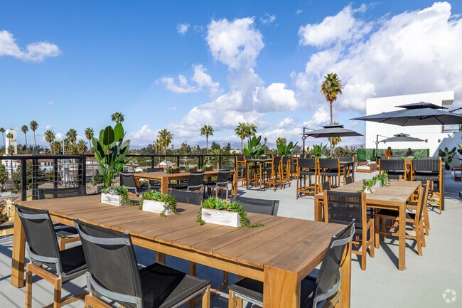 Outdoor Lounge - The Brightly