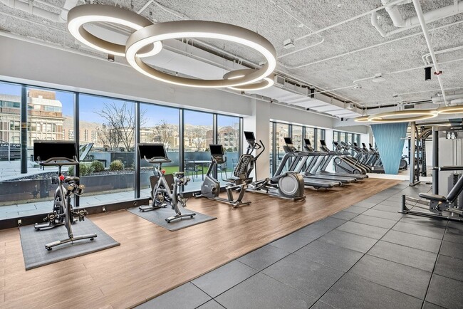 Seraph Luxury Downtown Apartments