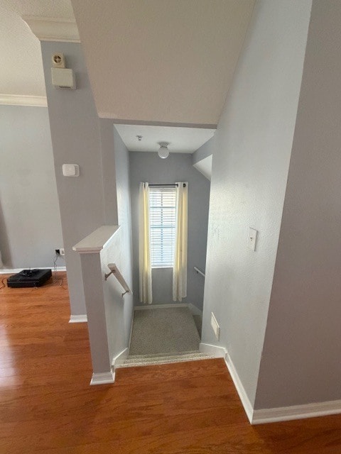 Photo - 2927 Bayshore Pointe Dr