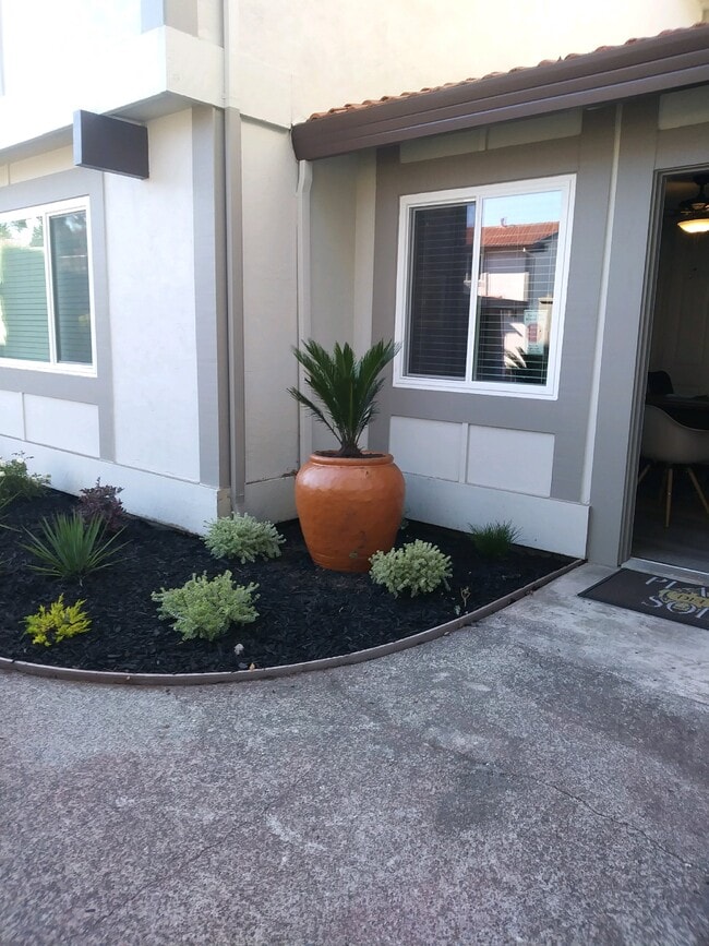 Plaza Del Sol Town Homes