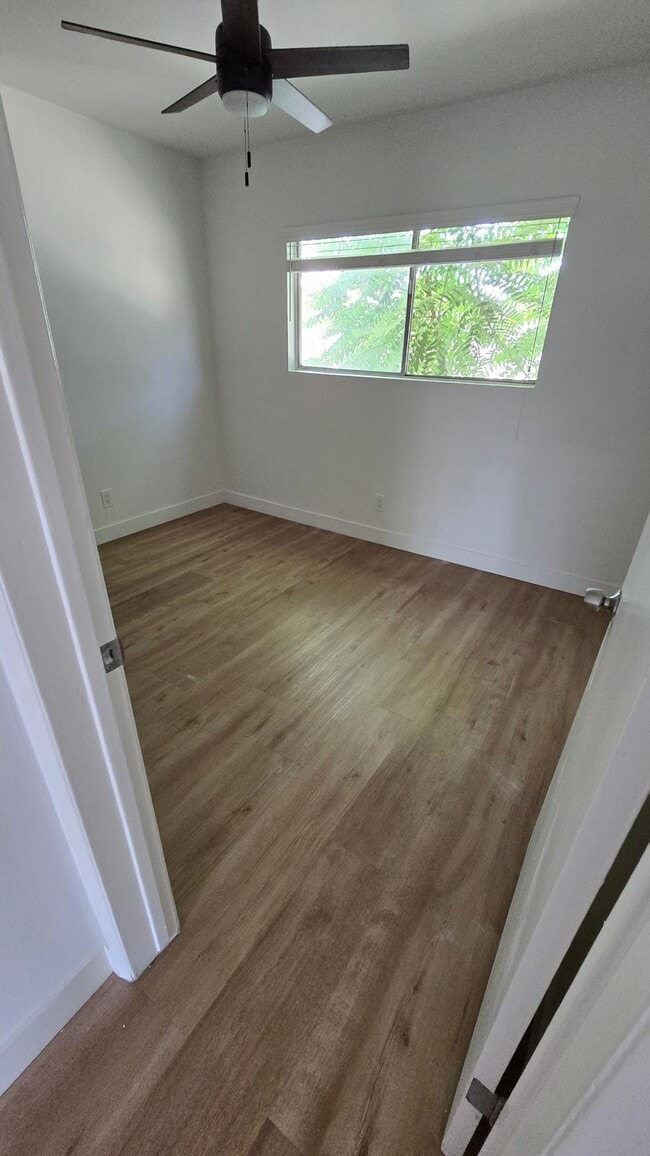 Photo - Coral Reef Apartments