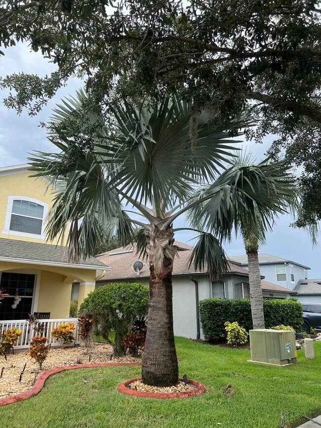 Photo - 19016 New Passage Blvd