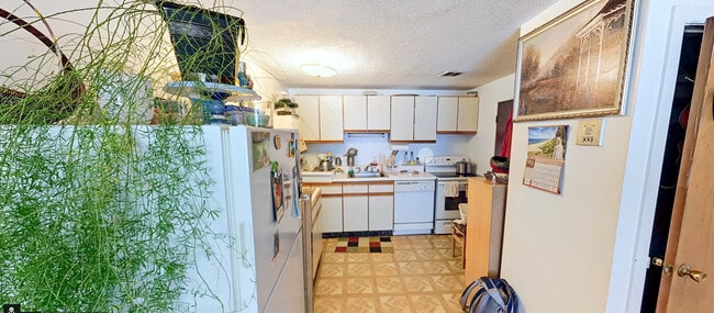 Building Photo - 365 Faneuil St Unit 12