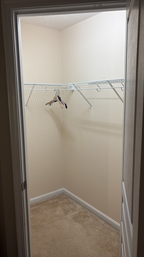 Photo - 2330 Treetop Ln