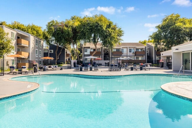 Photo - Bidwell Park Fremont