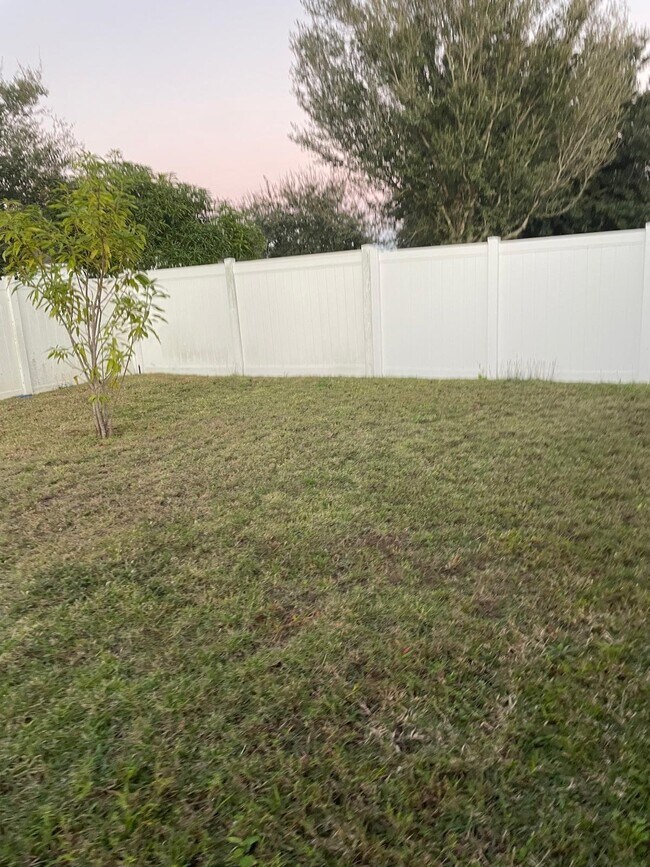 Photo - 337 Gladesdale St