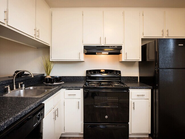 Elan Mesa Lofts