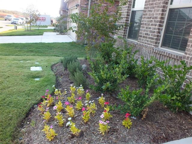 Photo - 620 Calliopsis St