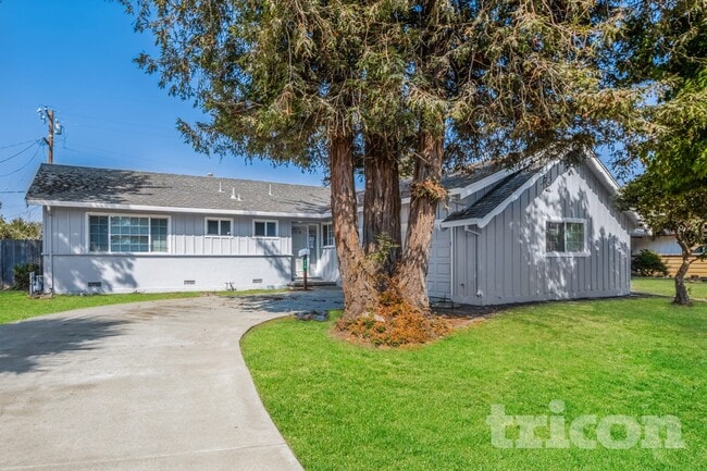 Building Photo - 910 Donner Pass Rd