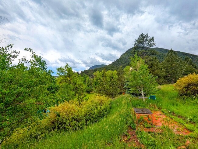 Photo - Fully Remodled Cabin in Palmer Lake with Amazing Views