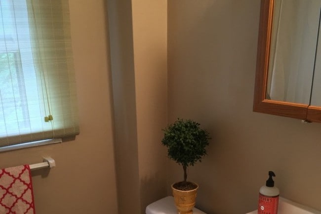 Bathroom - 715 Triphammer Rd Unit A
