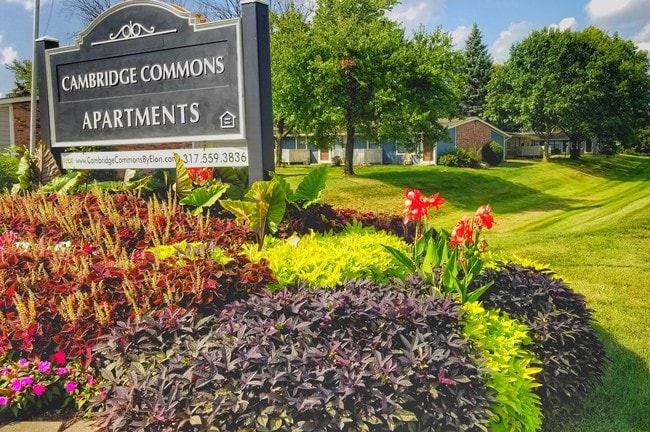Cambridge Commons