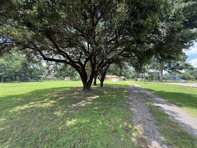 18751 FM 1484 Rd