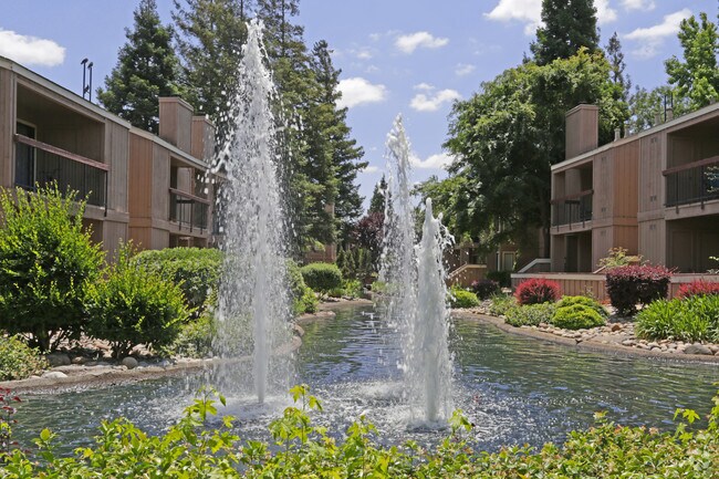 Fountains