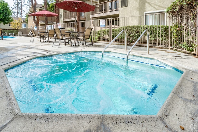 Pool and Spa