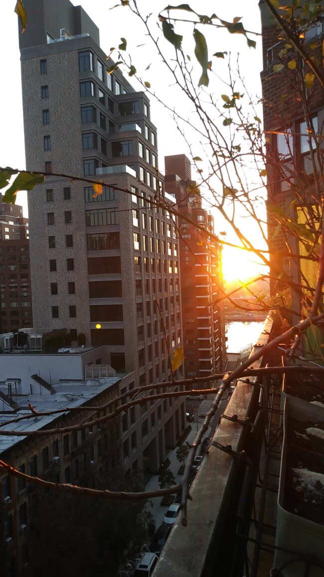 View of East River from terrace - 520 E 81st St Unit 12C