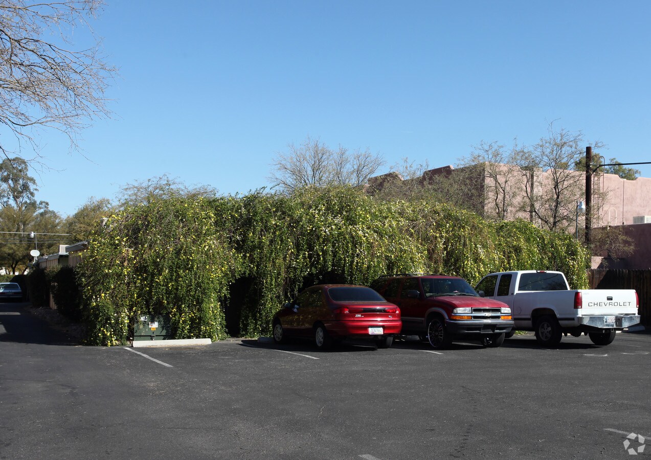 Photo - Campbell Plaza Garden
