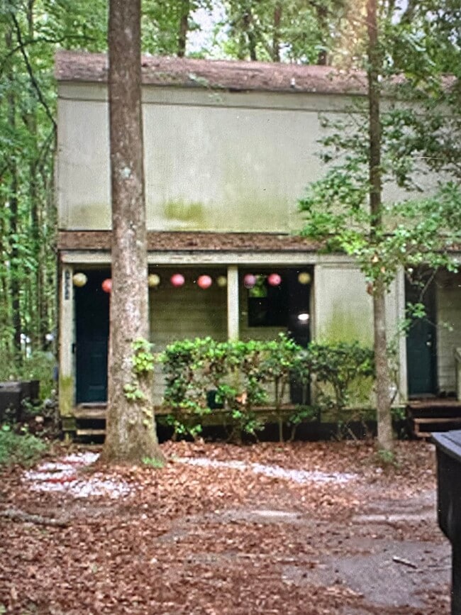 Building Photo - 1338 Rumba Ln Rental