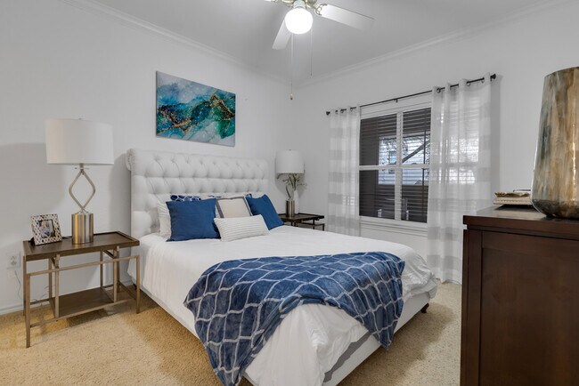 Photo - Vineyard Springs