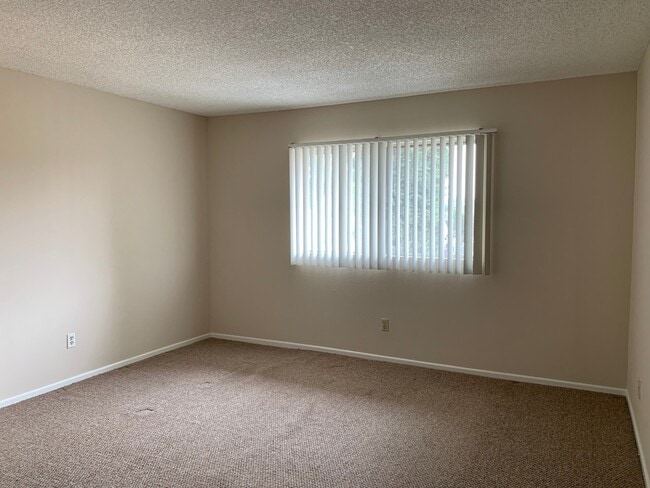 Photo - 921 Mt Olive Dr