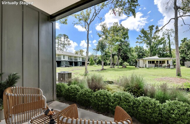 Photo - Huntington Forest