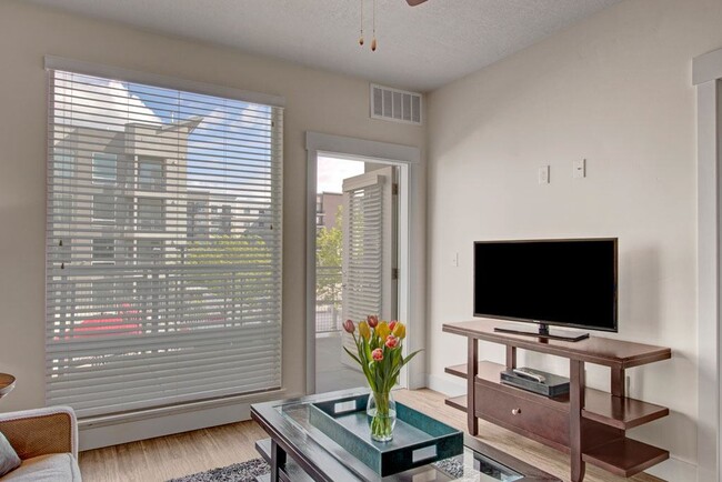 Photo - Velo on the Boulevard