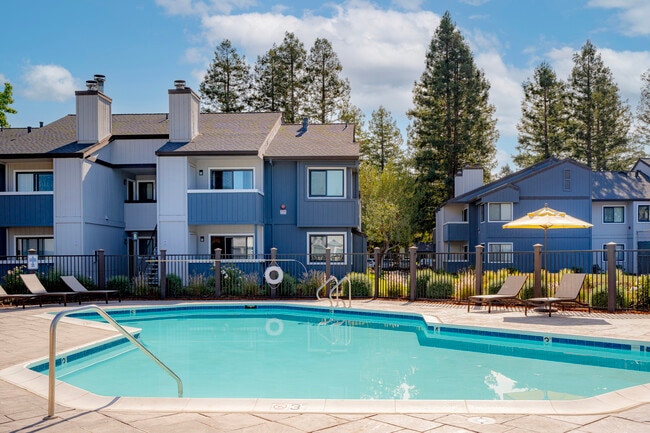 Main Pool / Spa