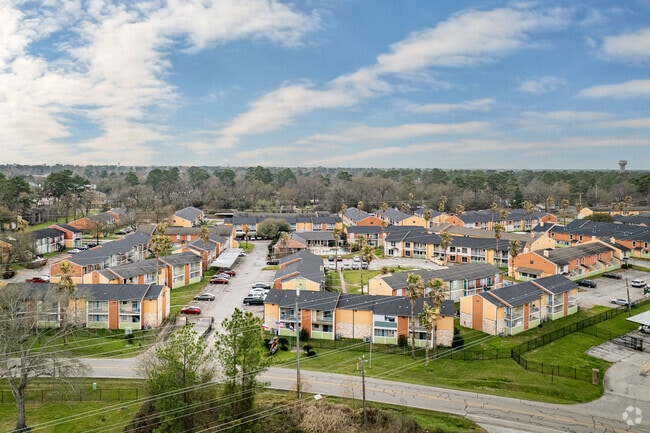 Aerial - The Palms at Cypress Station Rental