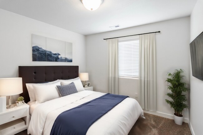 *Tucker Row in Vineyard - *Tucker Row in Vineyard