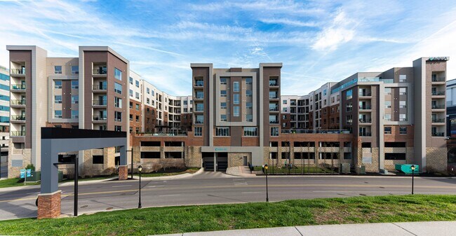 Photo - Aqua on the Levee