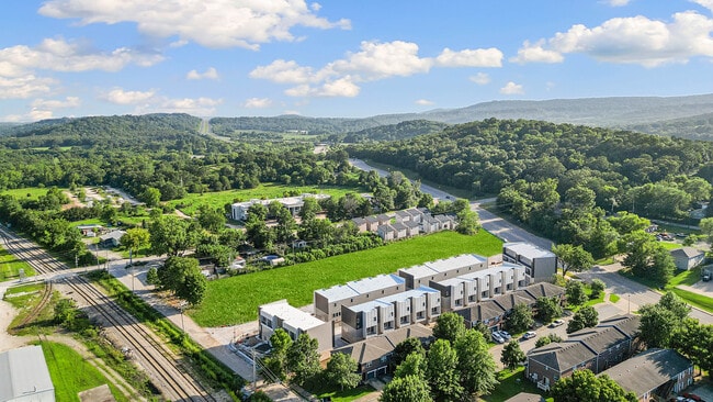 Photo - Razorback Row