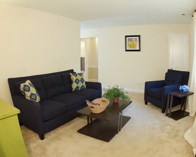 Ardmore Terrace