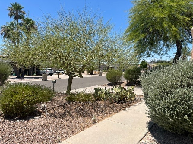 Photo - 17216 E Salida Dr Unit A