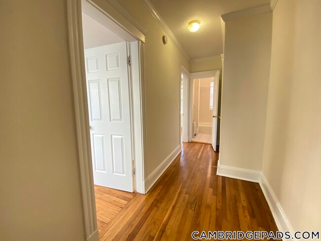 Photo - 1 Langdon St Unit 1