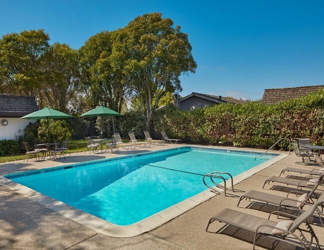 Swimming Pool - 1370 Byron Drive - Salinas