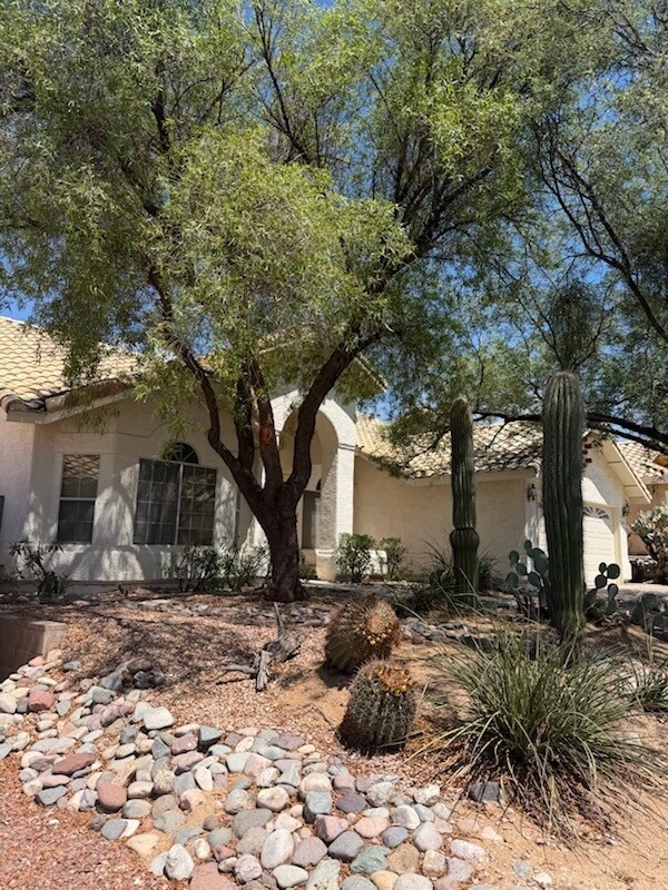 Photo - 1644 W Duskfire Pl