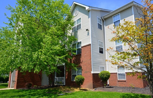 The Village on Sixth Avenue | Student Housing