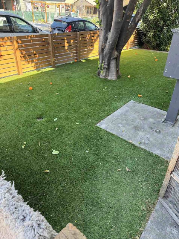 Photo - 52 Cleveland Ave Unit 2