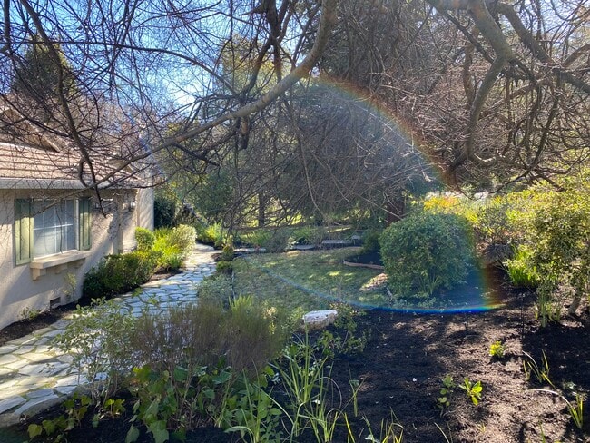 Front Yard Left - 1828 Ivanhoe Ave